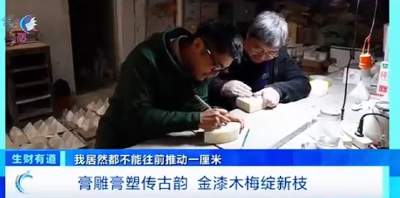 中央广播电视总台财经频道《生财有道》栏目聚焦应城