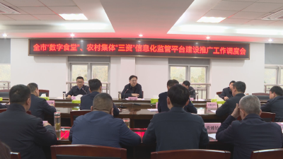 应城市“数字食堂”、农村集体“三资”信息化监管平台建设推广工作调度会召开 提升“两个平台”建设质效 确保工作走在前列 争当标杆