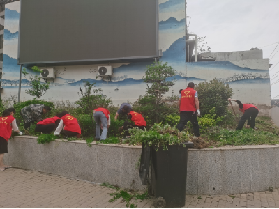 应城市陈河镇：除杂焕新貌 畅路暖人心