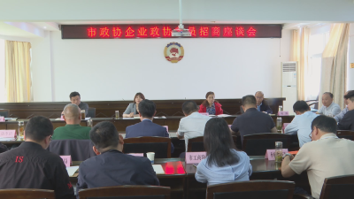 应城市政协召开企业政协委员招商座谈会