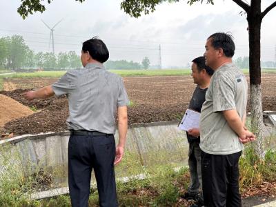 应城市天鹅镇：“现场办公+民主协商” “旱改水”工程建设按下“加速键”