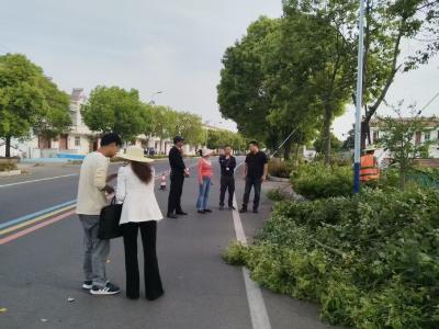 应城郎君镇：修剪树木除隐患   联动巡察保平安