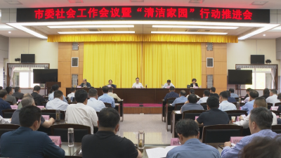 应城市委社会工作会议暨“清洁家园”行动推进会召开