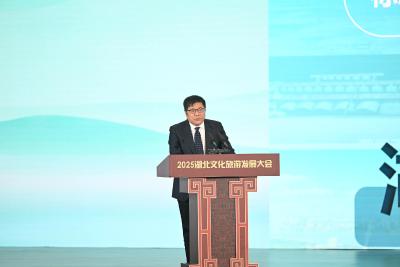 中国旅游研究院院长戴斌：湖北4个小时通达国内80%主要城市，是打造世界知名文化旅游目的地的基础
