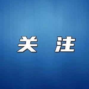 蜜蜂成了生态“品鉴官”——看鄂州市汀祖镇从“矿业伤疤”到“甜蜜银行”的美丽蝶变 