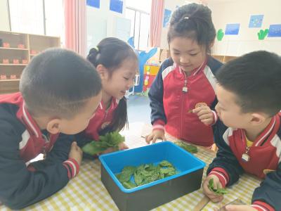 应城市黄滩镇中心幼儿园:萌娃开启“沉浸式”自然探索之旅