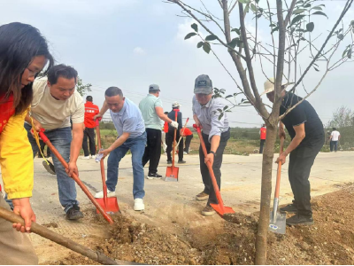 除杂草 种新苗 应城交通路域颜值“靓”