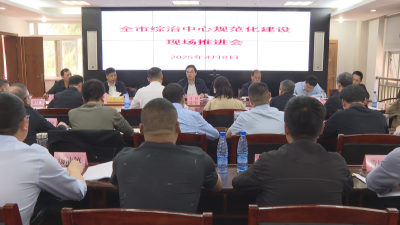 应城市综治中心规范化建设现场推进会召开