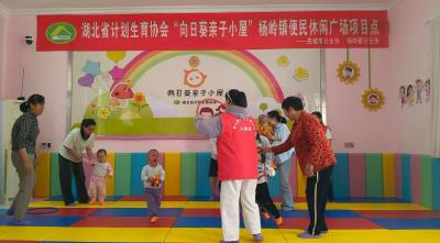 应城市杨岭镇开展“亲子嬉游记”活动