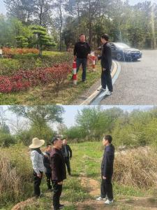 应城杨岭镇督导森林防火护安全