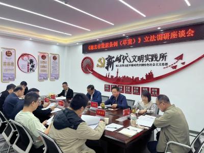 应城市城中街道新河社区基层立法点助力《湖北省数据条例（草案）》完善