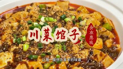 ​《食在应城》——川菜馆子