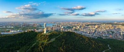 让创新基因像野草一样疯长，武汉市江夏区支持硬核科技突围的故事 