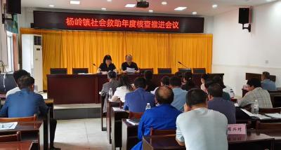 应城市杨岭镇开展社会救助对象年度核查专题讲解
