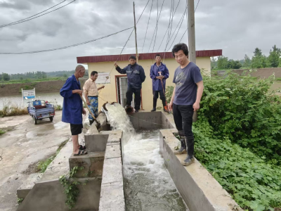 应城市城北街道：采用“抽转截导”  筑牢抗旱“水”基石