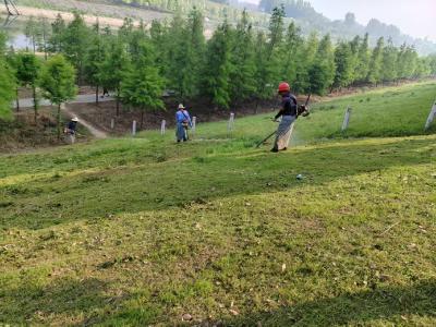 应城：筑牢堤防安全屏障   打造生态滨水空间