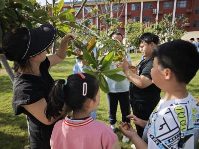 应城市特殊教育学校：拥抱实践成长  书写生命精彩