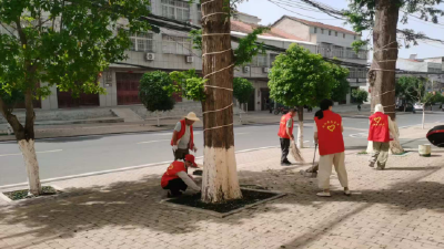应城市陈河镇沿线除杂焕新塑“颜值”