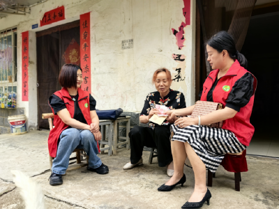 应城市东马坊街道计生协会开展端午慰问活动