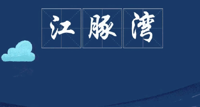 嗨！我是新洲“居民”，圆滚滚的江小豚“柳柳”~