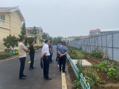 沙洋县来应城学习交流杨河全域国土综合整治项目