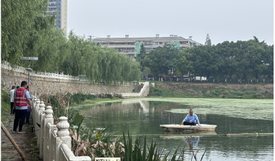 应城市城中街道星星社区“护河净岸”  行动共绘生态画卷