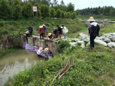 应城市杨河镇积极抗旱保春耕