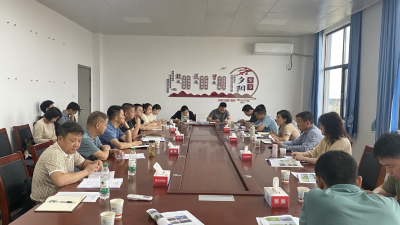 武汉青山区来应城杨河镇学习交流全域国土综合整治项目