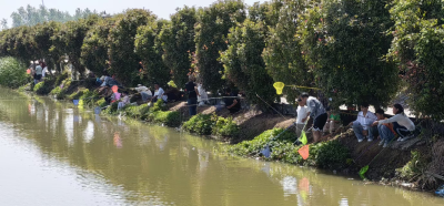 应城市义和镇：葛蓬岗生态园人气爆棚