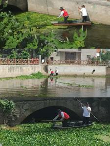 应城市陈河镇：打捞清理河道     守护碧水清波