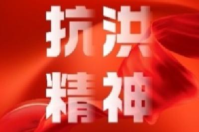 “弘扬三大精神 奋力建成支点”海报（三）