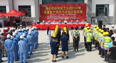 应城市东马坊街道：燃气泄漏应急演练护航辖区企业和群众“生命线”