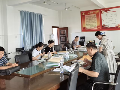 应城市陈河学区：立足新常规    检查促提升
