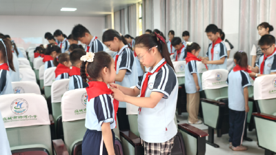 应城市杨河镇中心小学举行新队员入队仪式