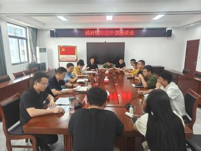 应城市杨岭镇召开年轻干部座谈会