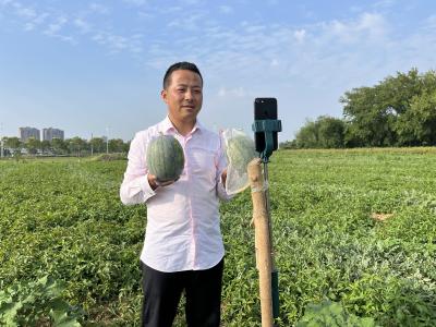 应城市黄滩镇‘甜蜜产业’成为乡村振兴强劲引擎！