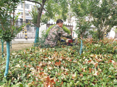 应城市长江埠街道大普社区：绿化修剪焕新社区颜值