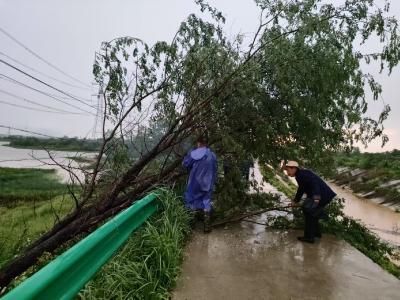 应城市杨河镇：干群齐心保通畅