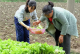 应城义和镇李集小学学生林孝菲入围2025年湖北省“新时代好少年”公示名单