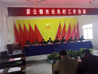 雷公镇隆重召开2017年农业农村工作会议