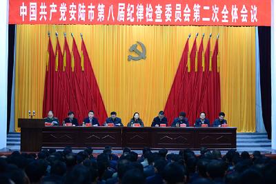 市纪委八届二次全体会议召开