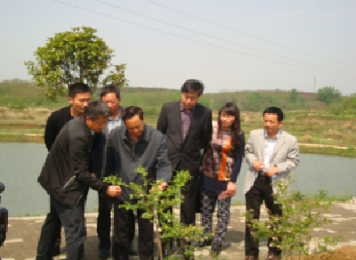 省农科院领导调研我市农业科技“五个一”行动及精准扶贫示范基地建设情况