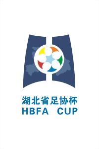 我市将承办第二届“湖北省足协杯”分区赛（C赛区）