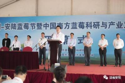 首届中国安陆蓝莓节暨中国南方蓝莓科研与产业发展论坛开幕    