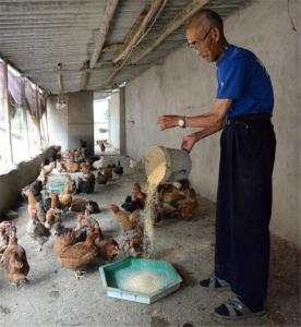 绣细产业真扶贫 ——烟店镇周冲村一户一策见成效