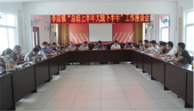 李店镇召开“总结上半年、大战下半年”工作座谈会