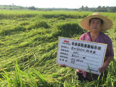 南城为农民撑起“保护伞”