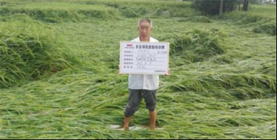 孛畈镇三农服务让农户灾年不受灾