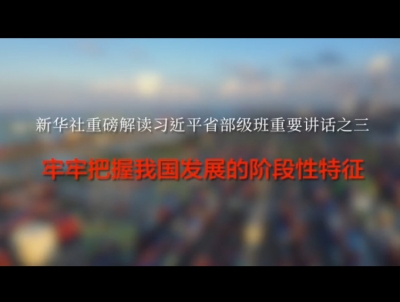 新华社评论员：牢牢把握我国发展的阶段性特征（三论）
