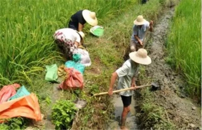 接官乡高庙村干群奋力抗旱保丰收